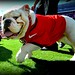 Sanford Walker Photo 7