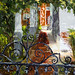 Barbara Albrecht Photo 28
