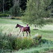 Amy Neighbors Photo 12