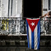 Narciso Colon Photo 4