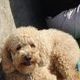 Mary Kerner Photo 24