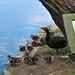 Duck Chu Photo 9