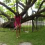 Lakesha Johnson Photo 9