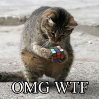 Isabel Rocha Photo 12