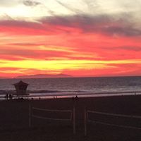 Laurie Goold Photo 4