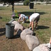 John Armbrust Photo 10