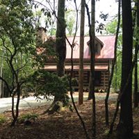 Cindy Owens Photo 35