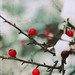 Kim Winters Photo 18