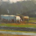 Brian Dooley Photo 43
