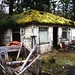 Ted Inman Photo 14