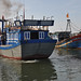 Tri Hoang Photo 31