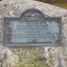 Sharon Dougherty Photo 23