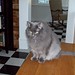 Frank Furr Photo 3
