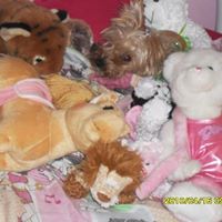 Julia Douglas Photo 48
