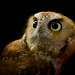 Kathy Hogue Photo 38