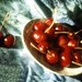 Cherie Smith Photo 12