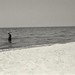 Donald Applegate Photo 7