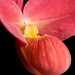 Julie Fritz Photo 21