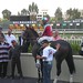Jerry Meadows Photo 10