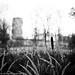 Les Reed Photo 35