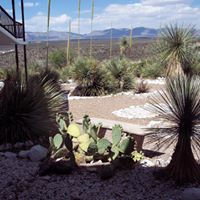 Sheryl Smith Photo 11