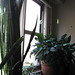 Elaine Flowers Photo 15