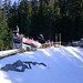 Jan Callaghan Photo 11