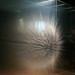David Spriggs Photo 20