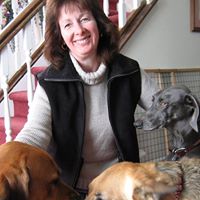Donna Mallon Photo 12
