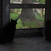 Janey Brown Photo 7