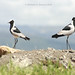 Marlene Bird Photo 19