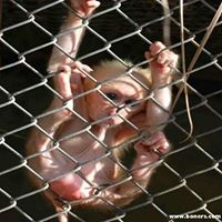 Jodie Burns Photo 23