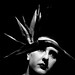 Ruth Bird Photo 29