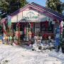 Janet Connors Photo 17