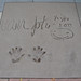 S Johnson Photo 19