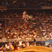 Carey Hart Photo 18