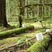 Fred Swanson Photo 10