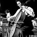 David Feldman Photo 63