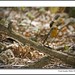 Robin Fletcher Photo 16