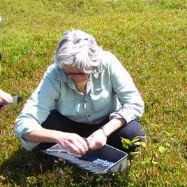 Susan Harding Photo 33