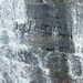 Lisa Louden Photo 9