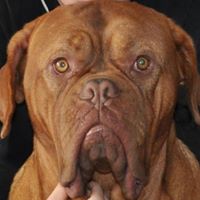 Tony Rowlands Photo 18