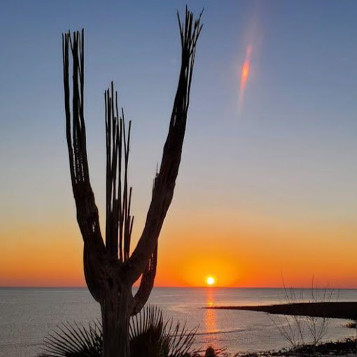 Gayle Parker Photo 26