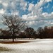 Clayton Smith Photo 20