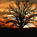Karen Mcbain Photo 7