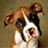 Thomas Keown Photo 20