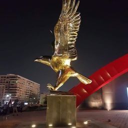 Mohamed El-Sayed Photo 26