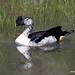 Bill Combs Photo 6