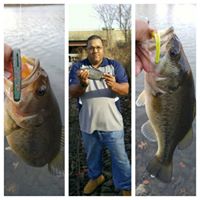 Craig Ellis Photo 15