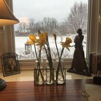 Colleen Stover Photo 17
